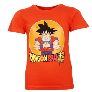 Anime Dragonball Super Goku Jungen kurzarm T-Shirt Shirt
